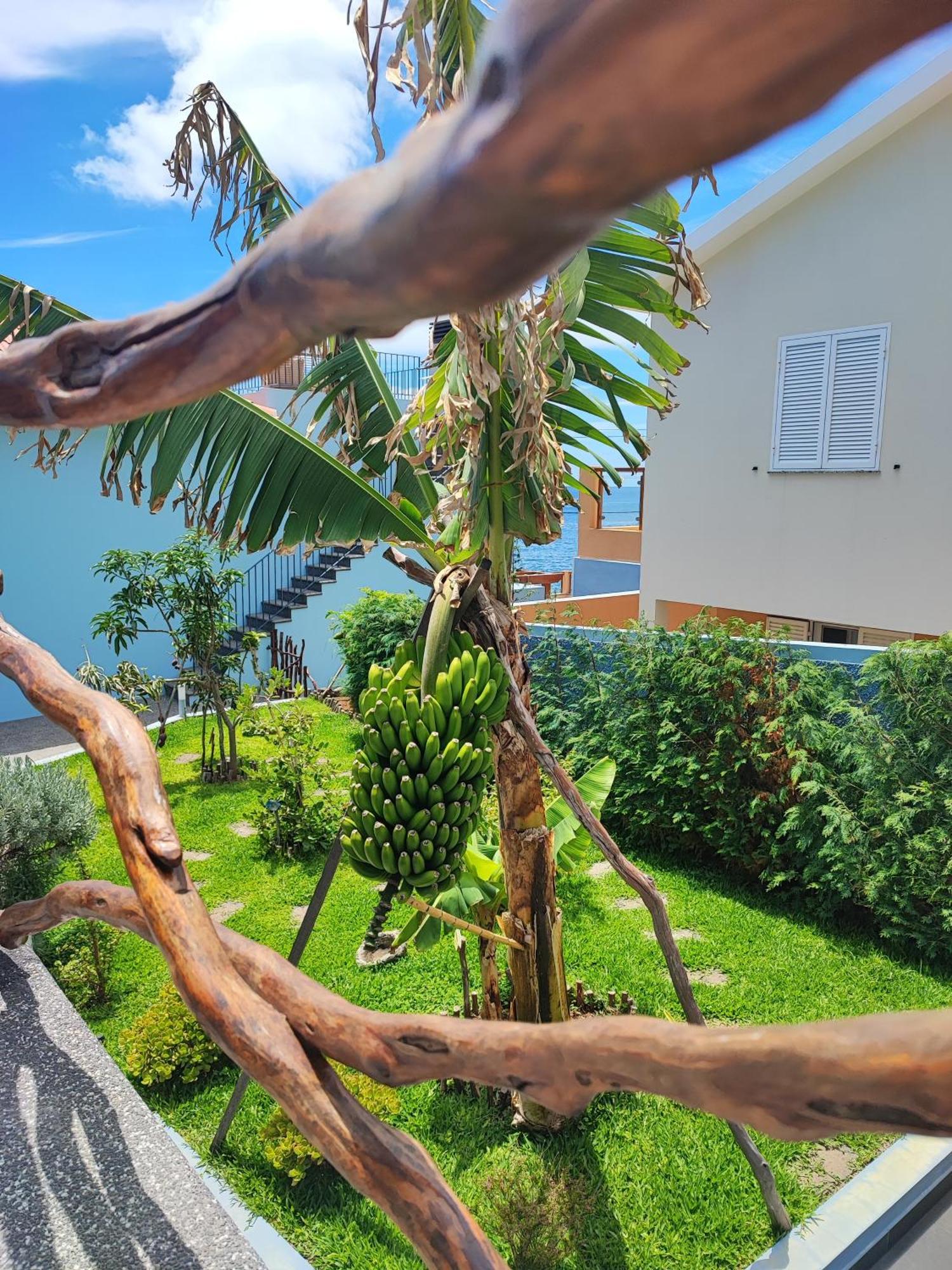 Cottage Pearl - Rural Holiday Experience By Seapearl Paul do Mar  Luaran gambar